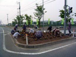 花植え